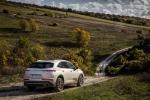 DS 7 Crossback E-Tense 4x4 Rivoli 2019 года (WW)